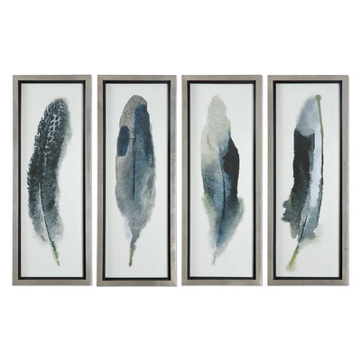 Feathered Beauty Framed Prints
